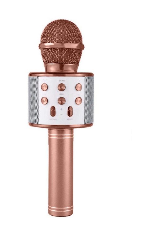 Karaoke Mikrofonlu Hoparlör - Şarjlı -Bluetooth Rose Gold (4913)