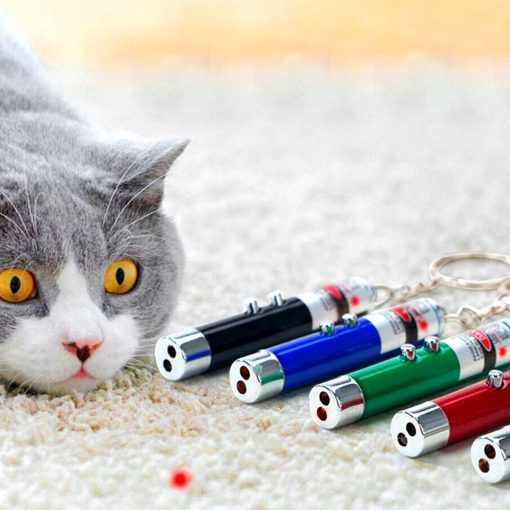 3 Fonksiyonlu Kırmızı Beyaz Işıklı Led Lazer Kedi Köpek Oyuncak Anahtarlık (4913)