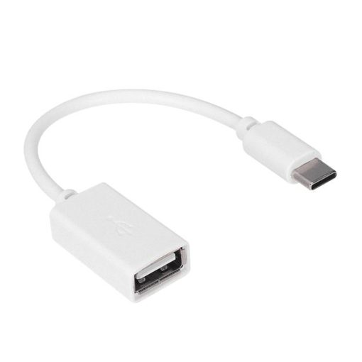 BEYAZ USB DİŞİ TO TYPE-C ERKEK OTG ÇEVİRİCİ (4913)