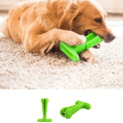 Köpek Diş Temizleyici Oyuncak Büyük