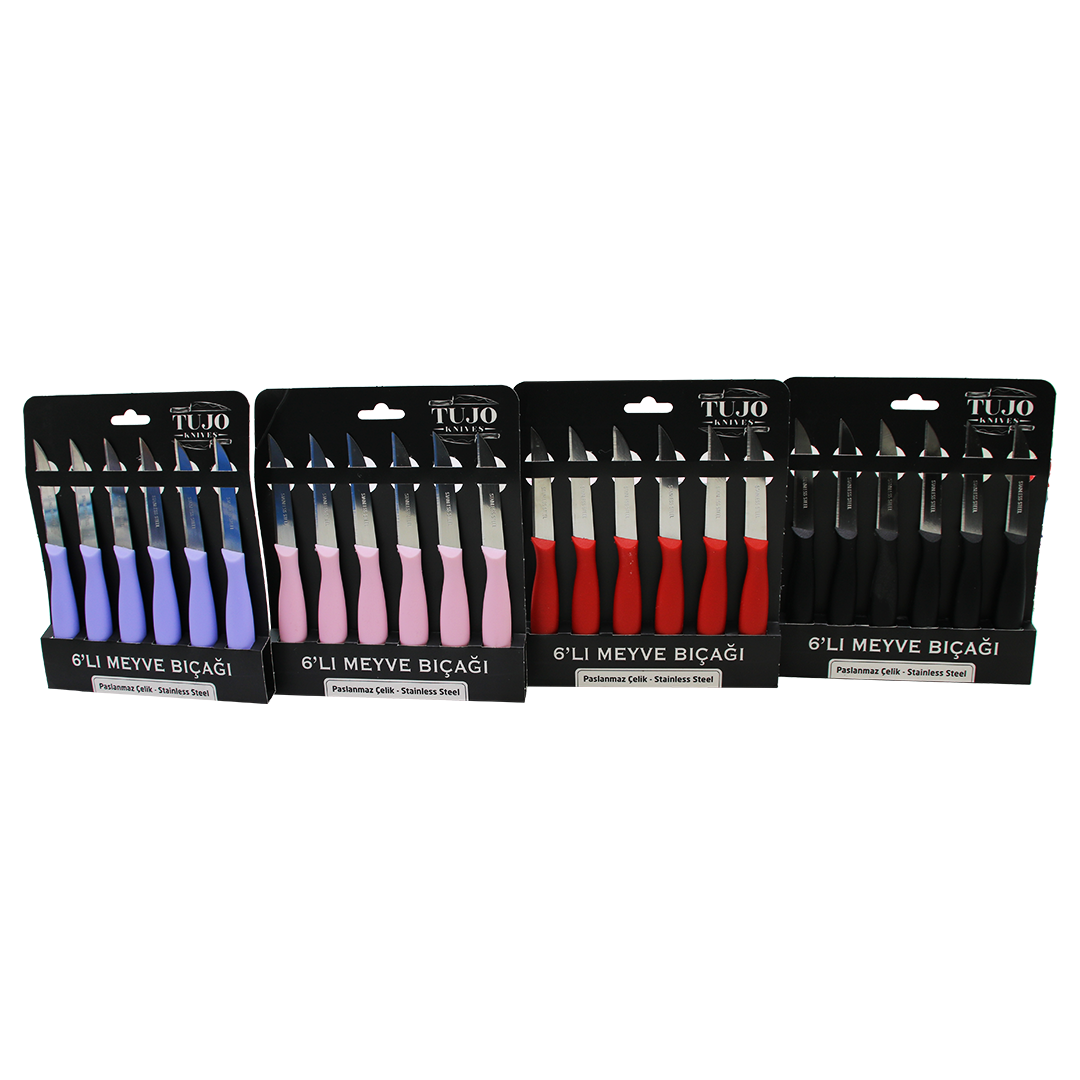 6 PARÇA  MEYVE BIÇAK RENKLİ PLASTİK SAPLI