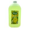 HAYAT 5LT LİMON KOLONYA BİDON