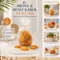 POŞETLİ RENKLİ MİX MİDYE - DENİZ KABUK VAZO TAŞI